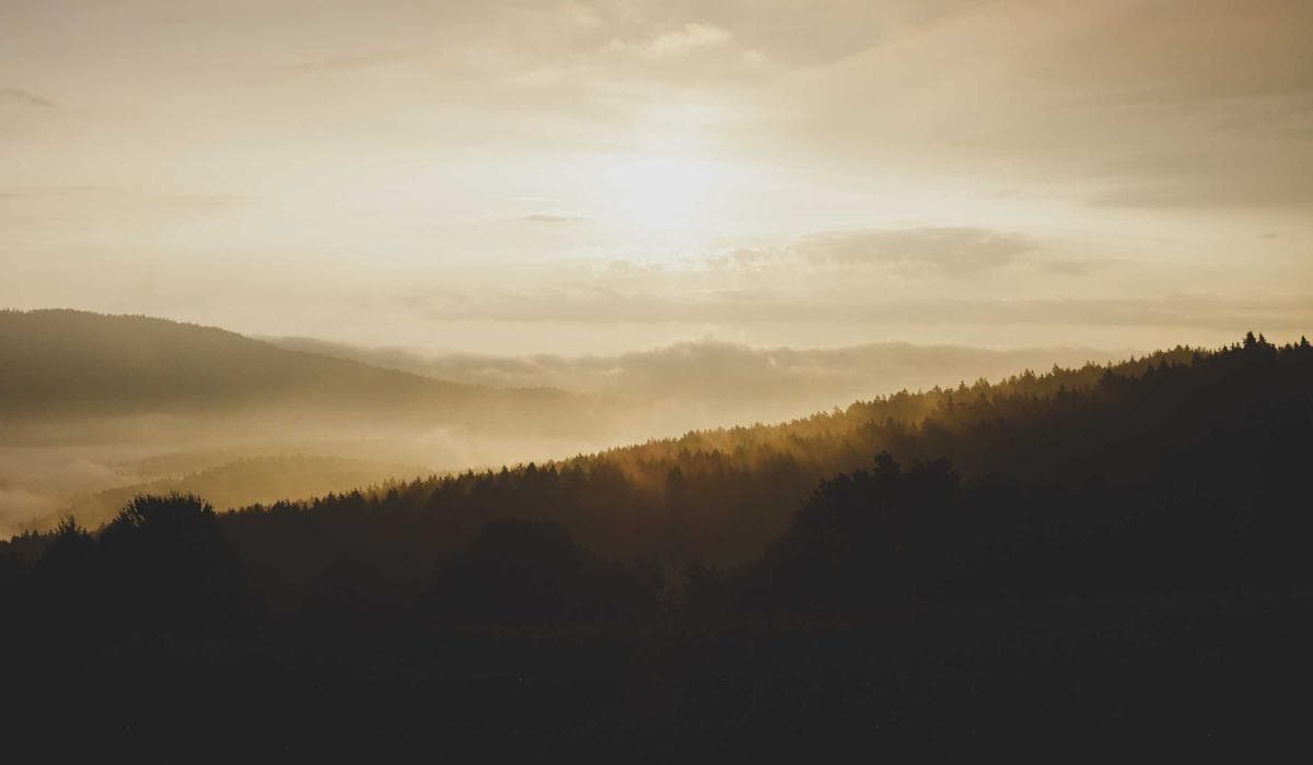 Outdoor Wedding Planning: Weather, Permits and Backup Plans