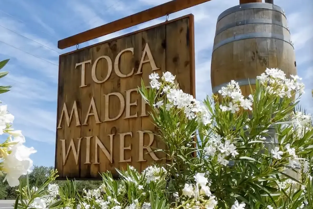 Toca Madera Winery - cover photo