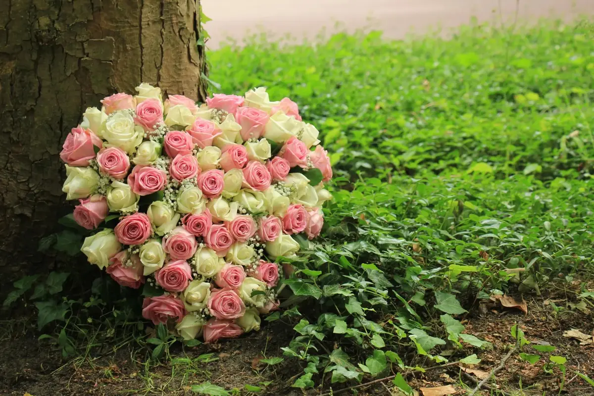Boulevard Florist - cover photo