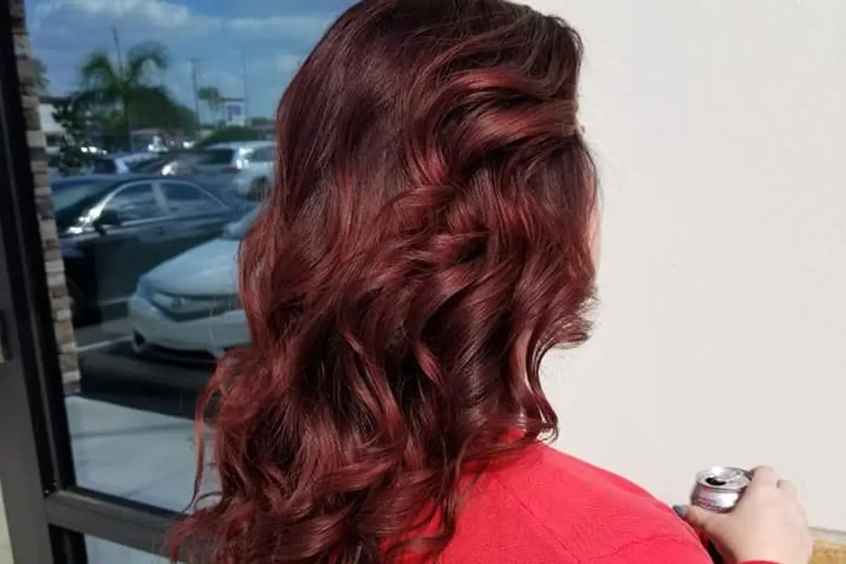 Salon Elysian - cover photo