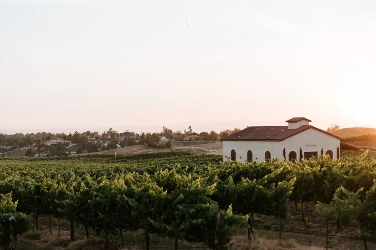 Danza del Sol Winery - cover photo