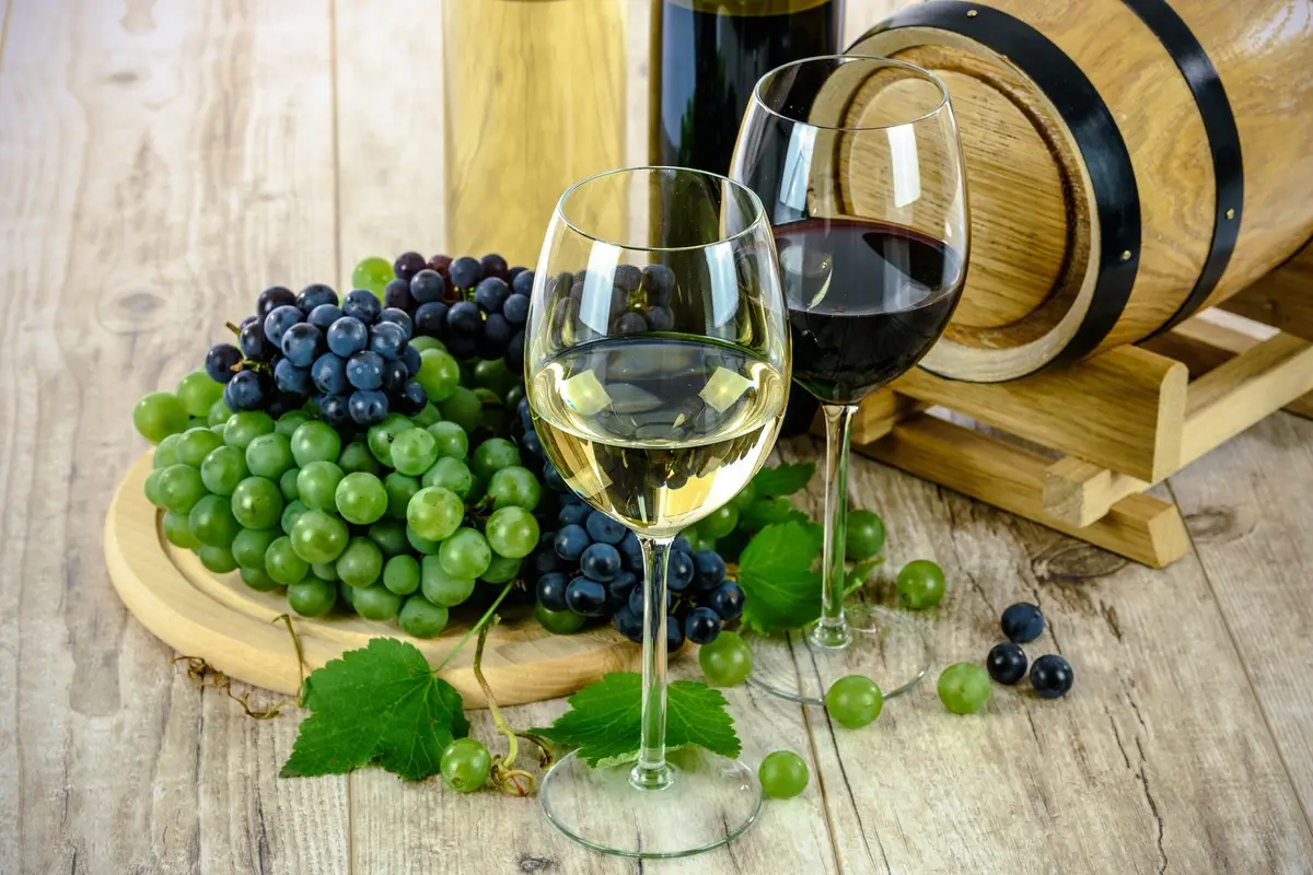 Villa Antonio Winery - cover photo