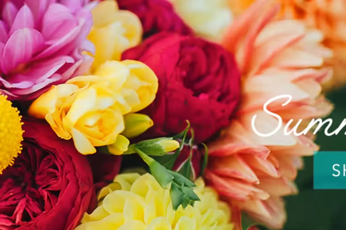 Thompson's Flower Shop - cover photo