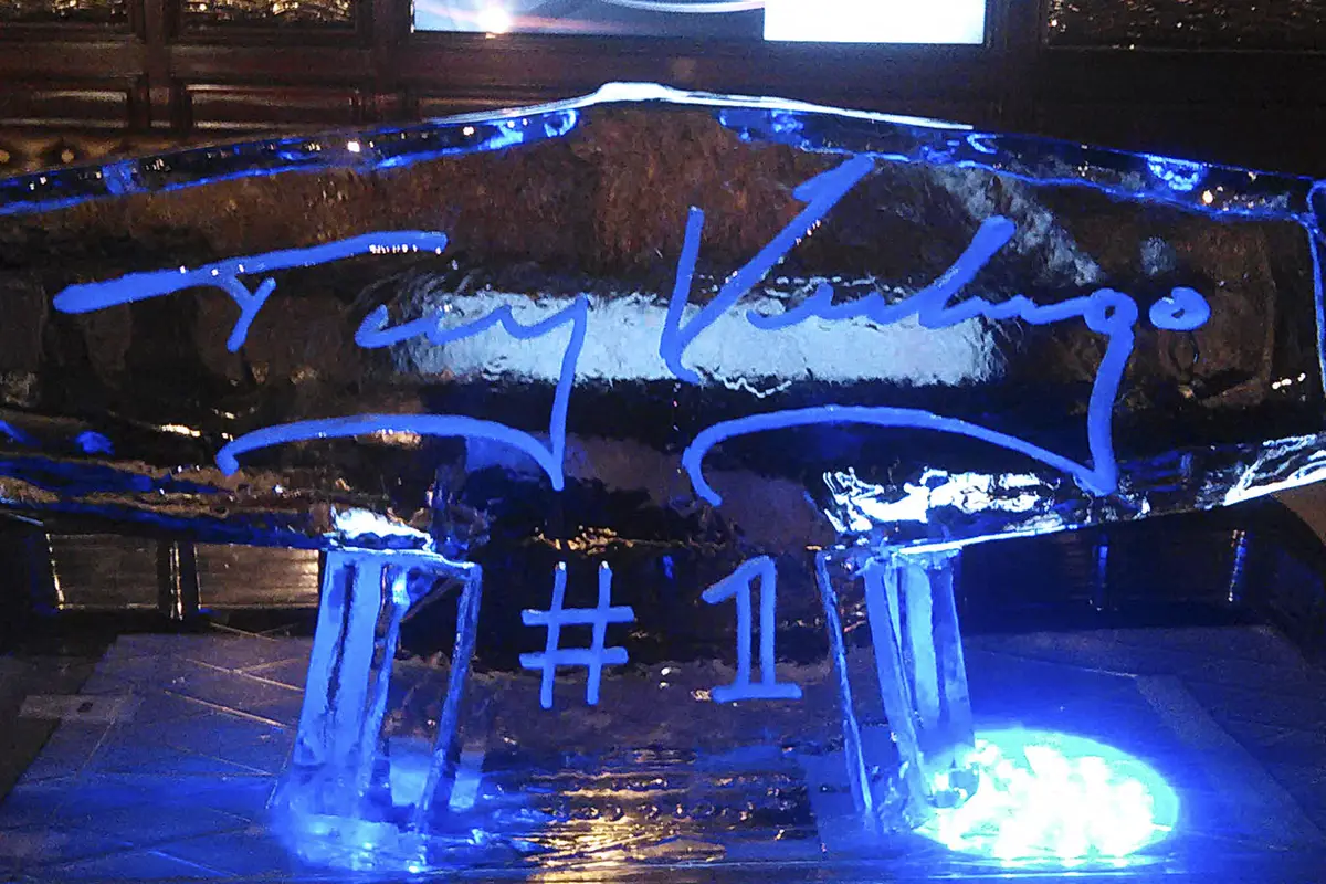 Ice Sculptures A European Experience - cover photo
