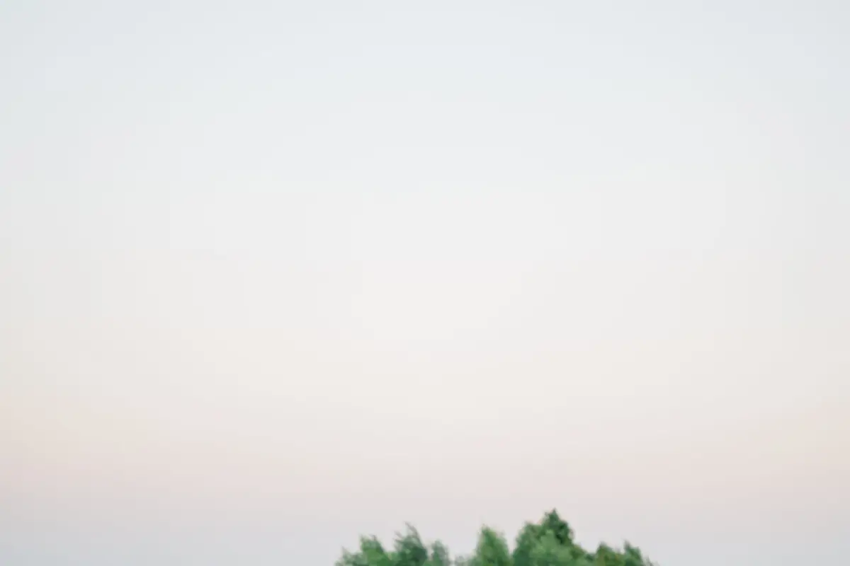 The Gardenia Venue - cover photo