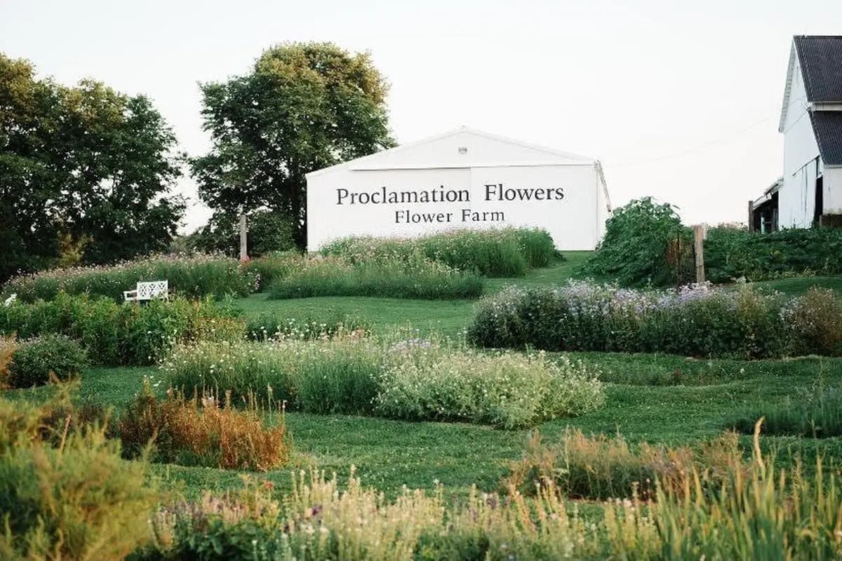 Proclamation Flowers Flower Farm - cover photo