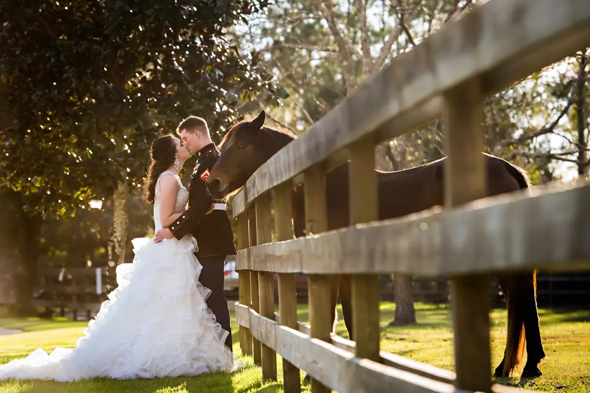 Horse Stamp Inn - cover photo