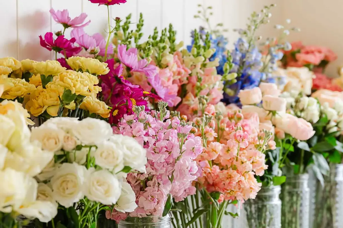 Flower Bar Co. Midway - cover photo