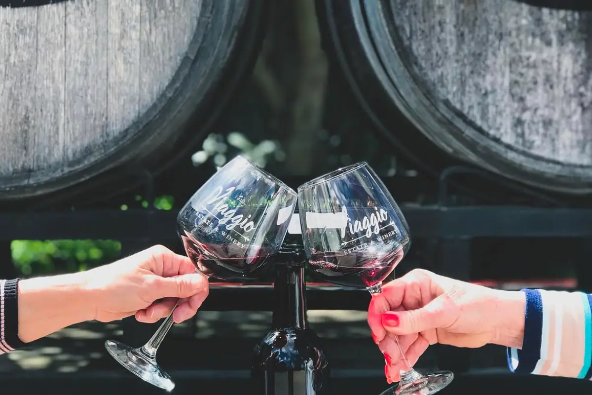 Viaggio Estate & Winery - cover photo