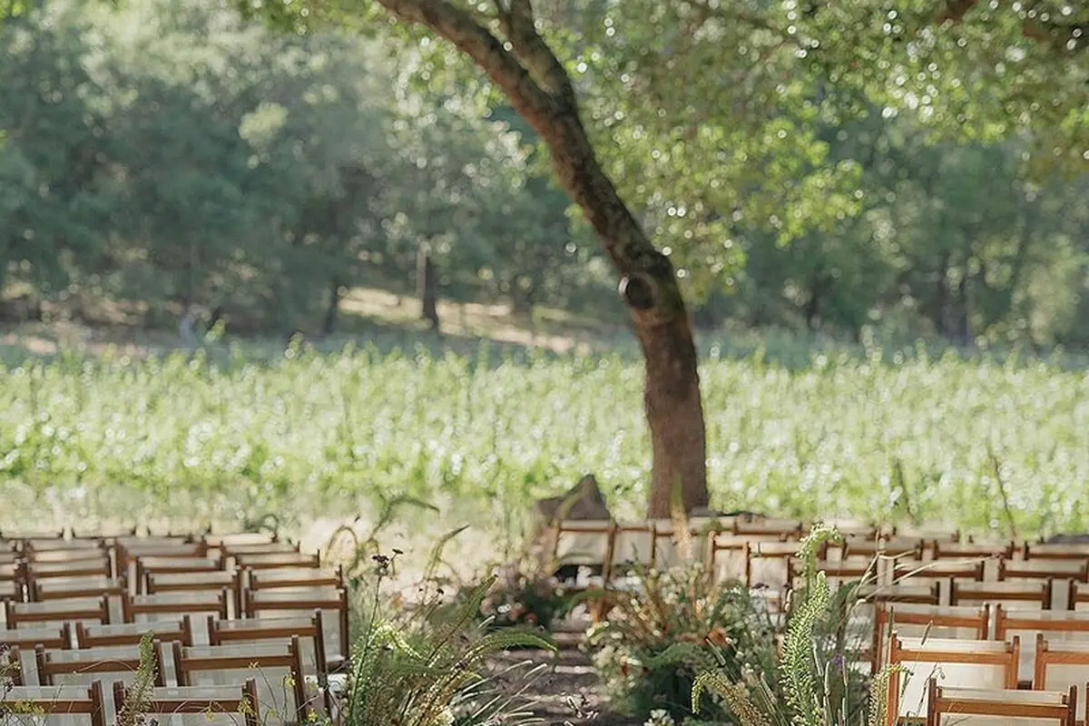 Vanessa Pence Events - cover photo