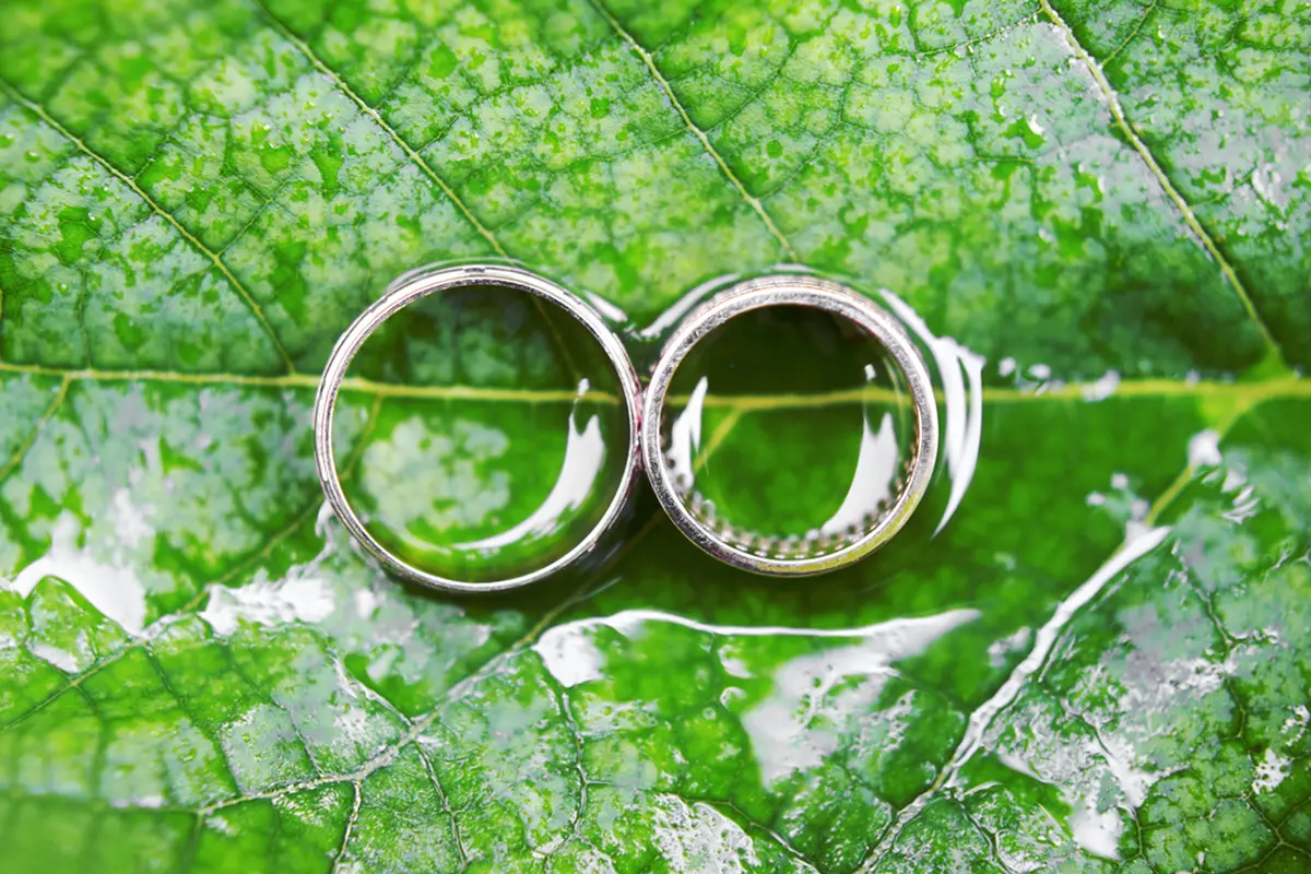 Your Fun Officiant - cover photo