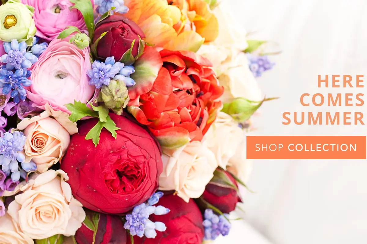 Strelitzia Flower Company - cover photo