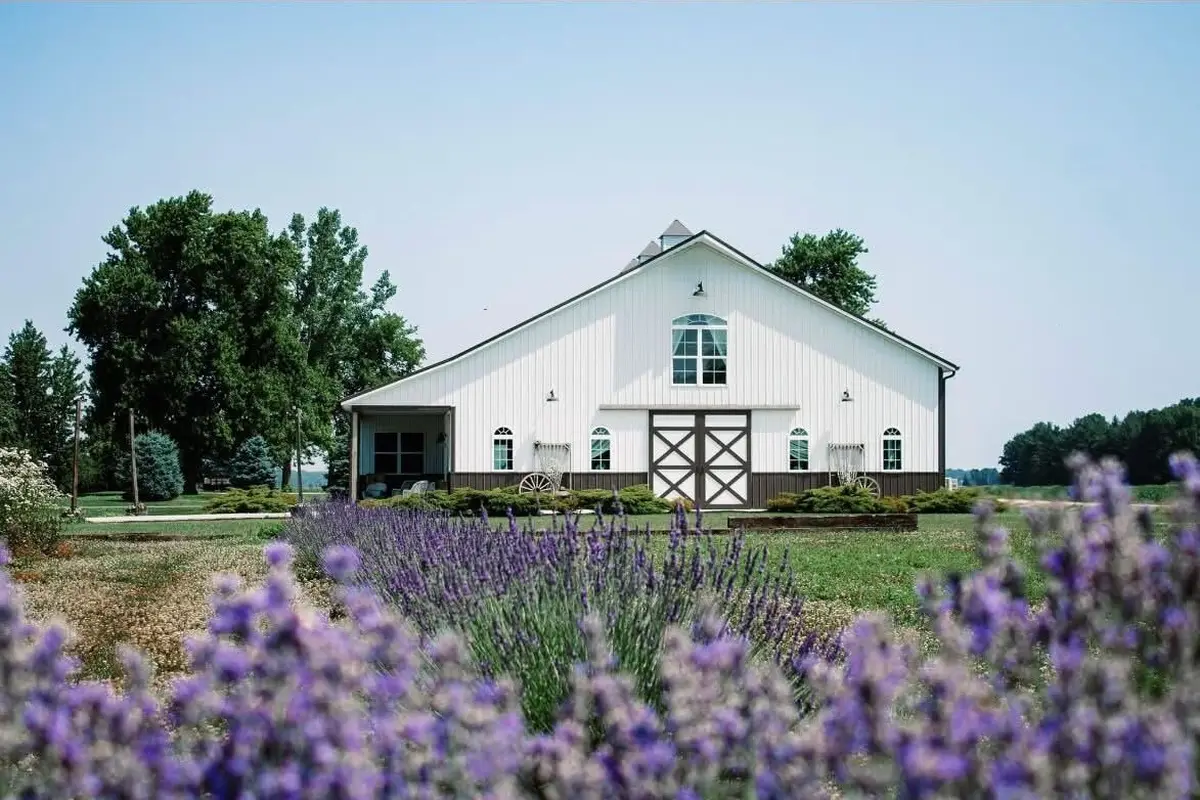 Shady Brook Acres Hitching Post - cover photo