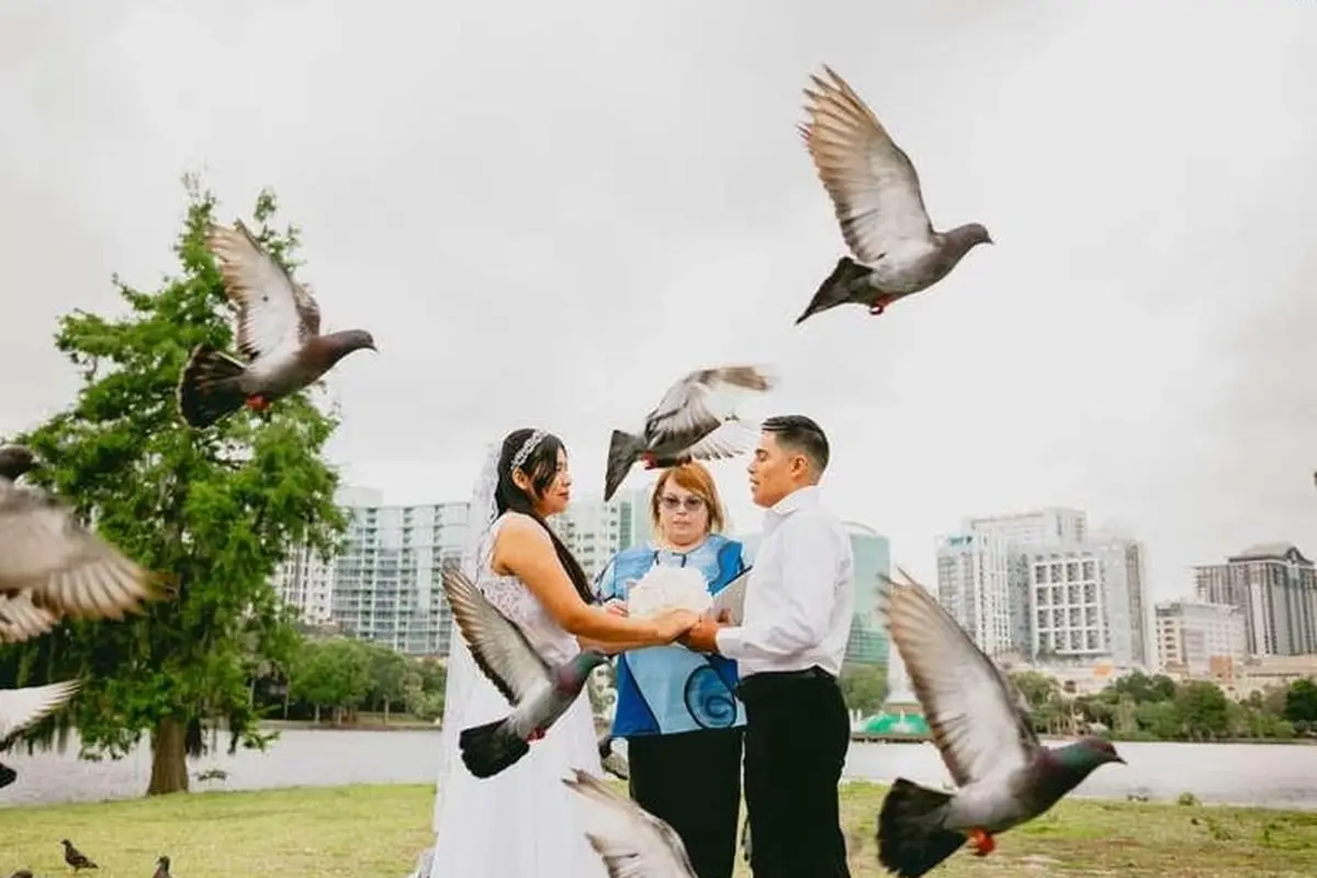 Nudos & Lazos Weddings - cover photo