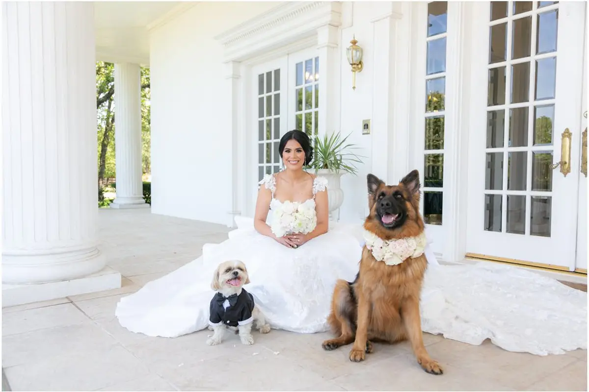 Monica Salazar Photography - cover photo