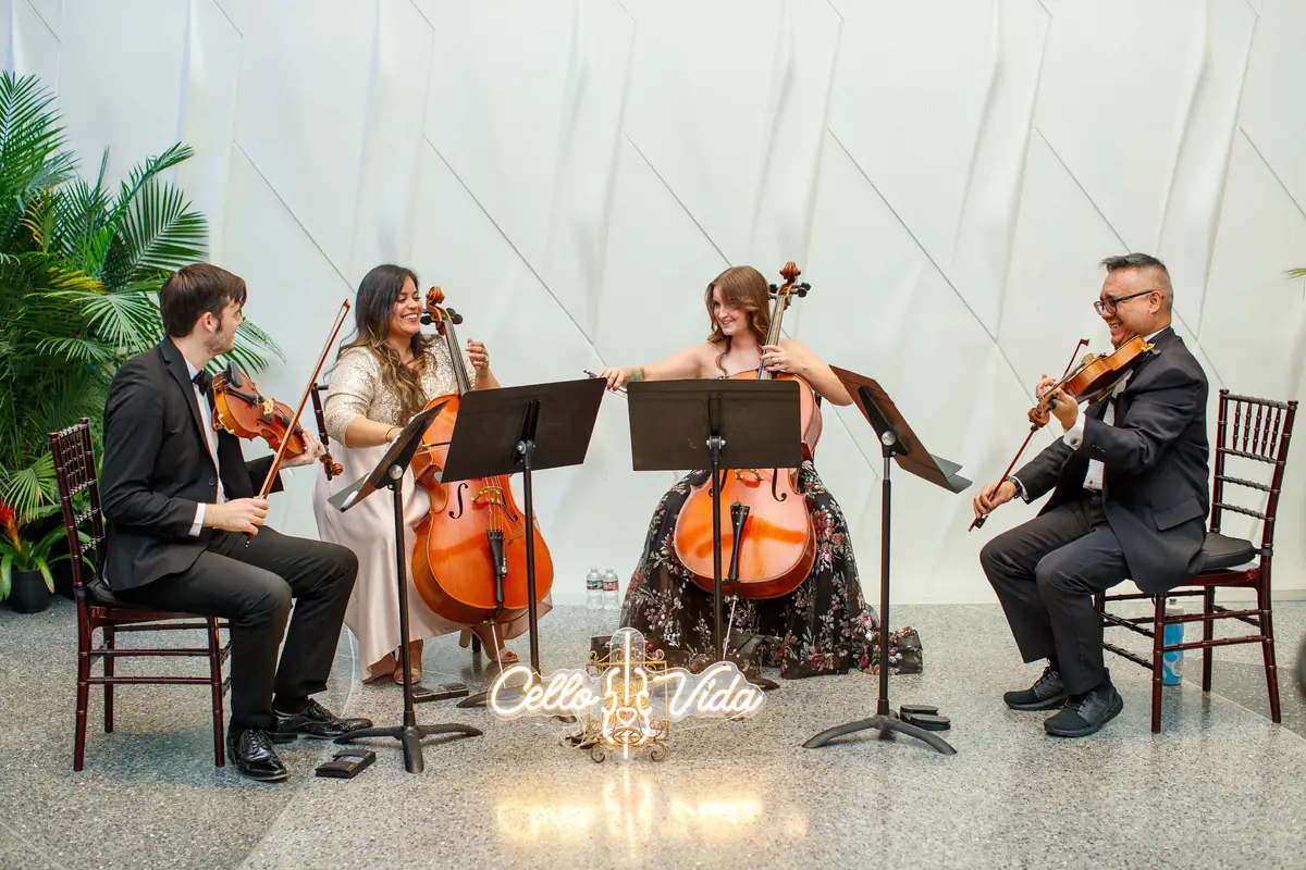Cello Vida String Quartet - cover photo