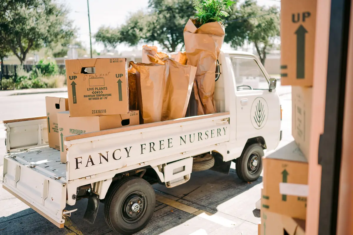 Fancy Free Nursery - cover photo