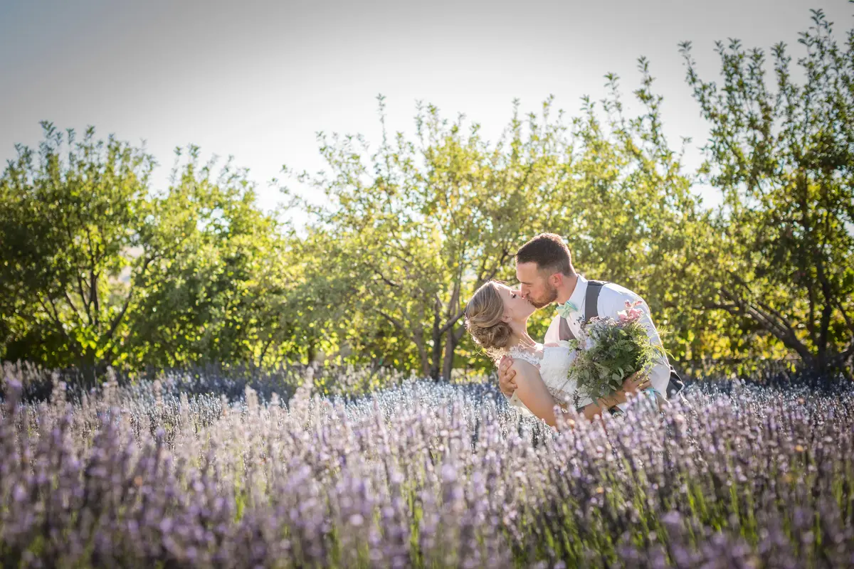 Lavender Ridge Wedding, Elopement, Party, Chapel, Hall Venue - cover photo