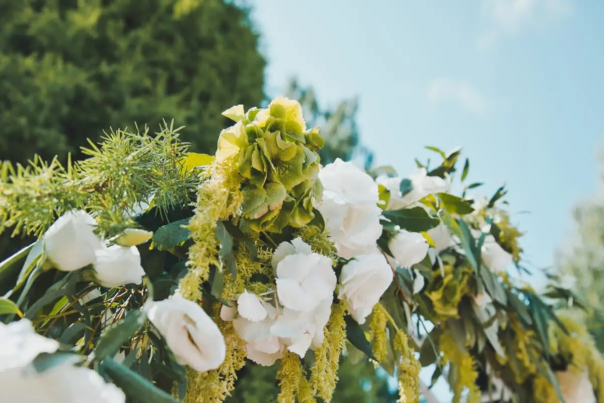 Blissful Beginnings Creations & Events - cover photo