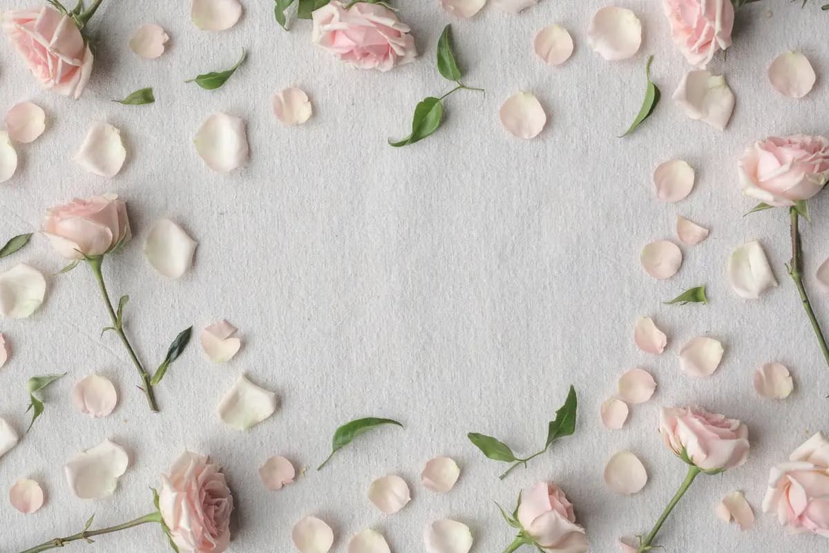 Flowery - cover photo