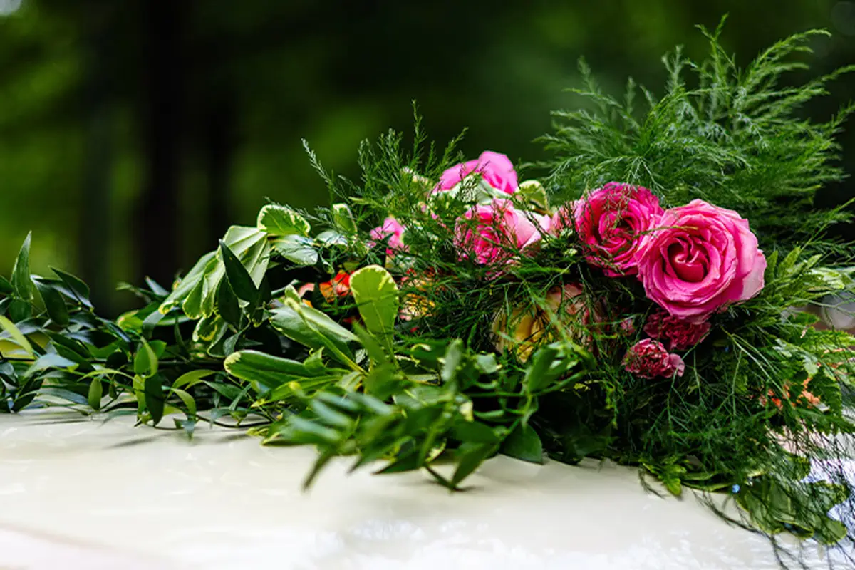 Anita Wilson Designs LLC - cover photo