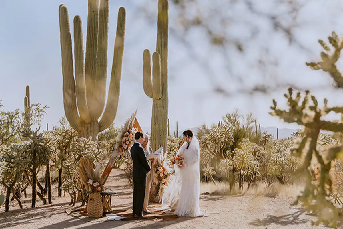 Irene Swain Non-Denominational Minister/Tucson Wedding Officiant - cover photo