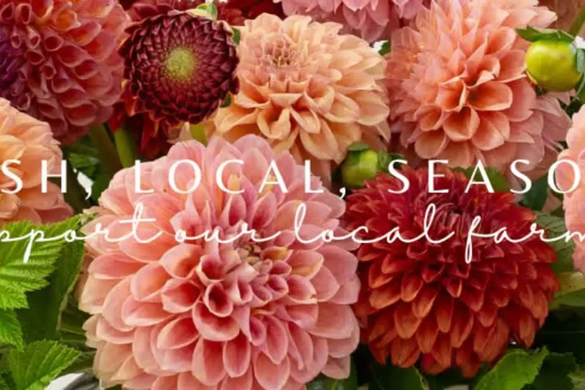 Sellwood Flower Company - cover photo