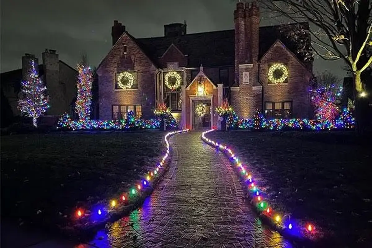 Pink Pro Holiday Lights - cover photo