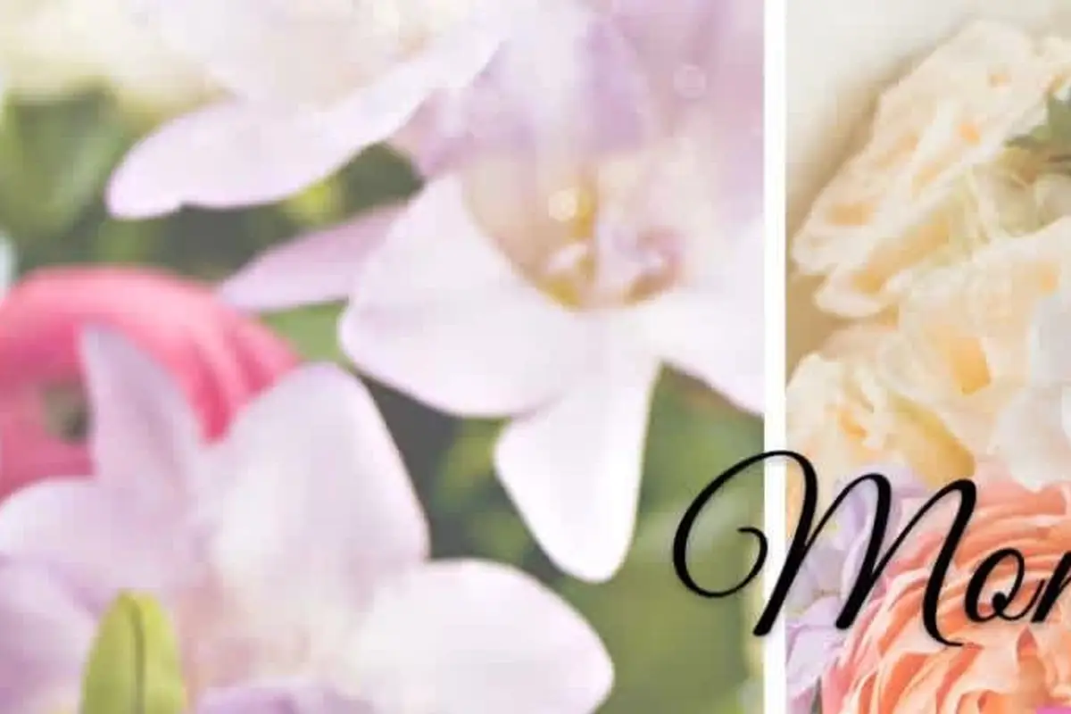 VaVaBloom Floral Occasions & Decor Boutique - cover photo