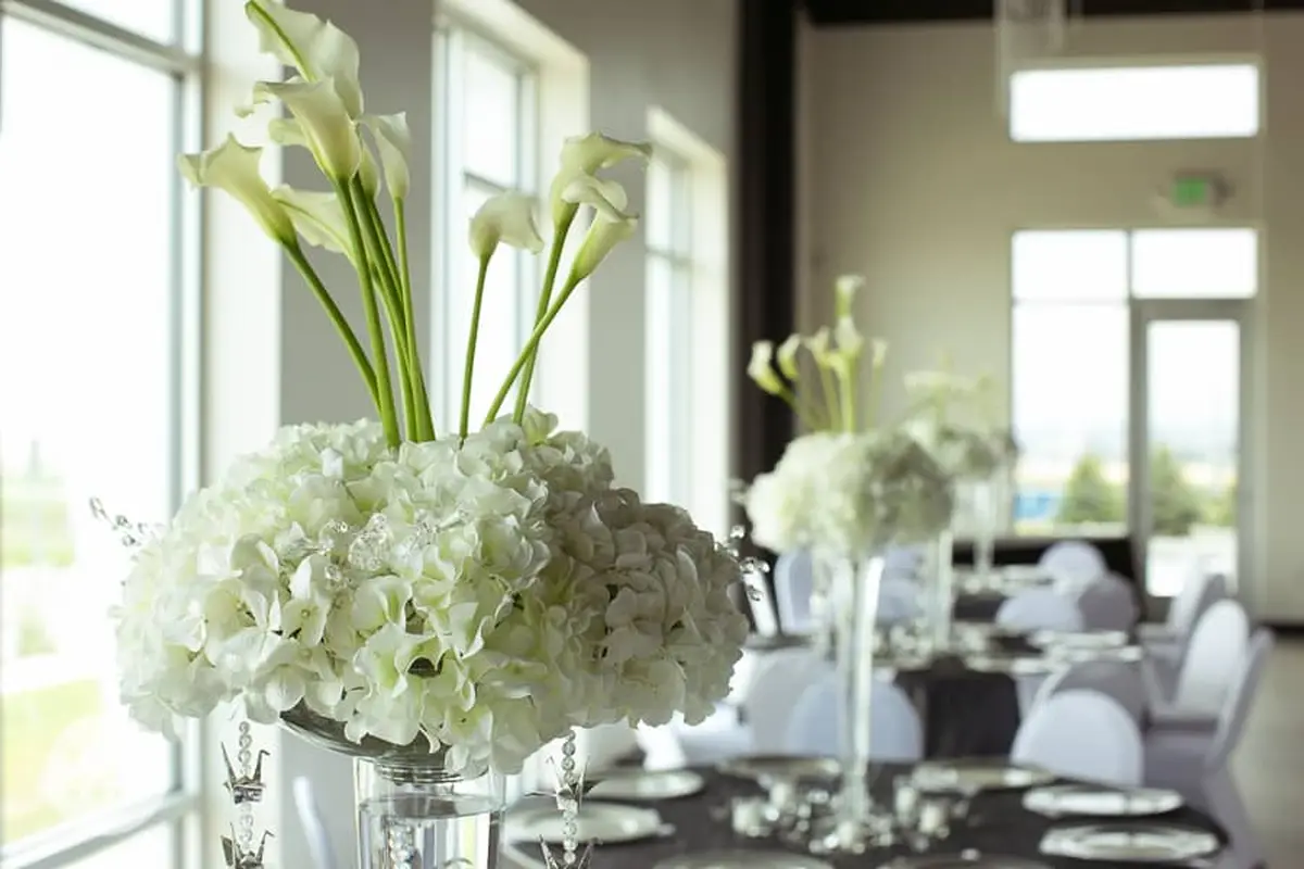 Windsong Estate Event Center - cover photo