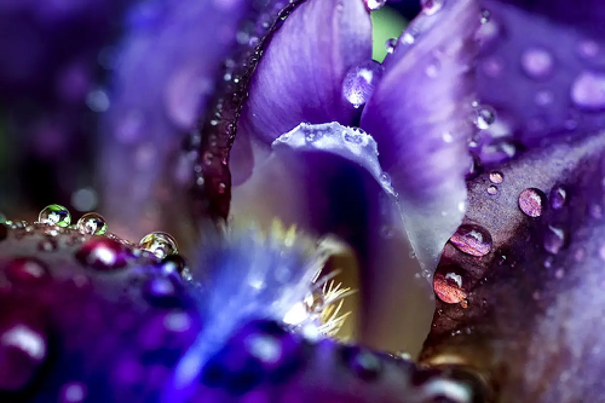 SpiritLightInsight Clairvoyant Readings by Debra - cover photo