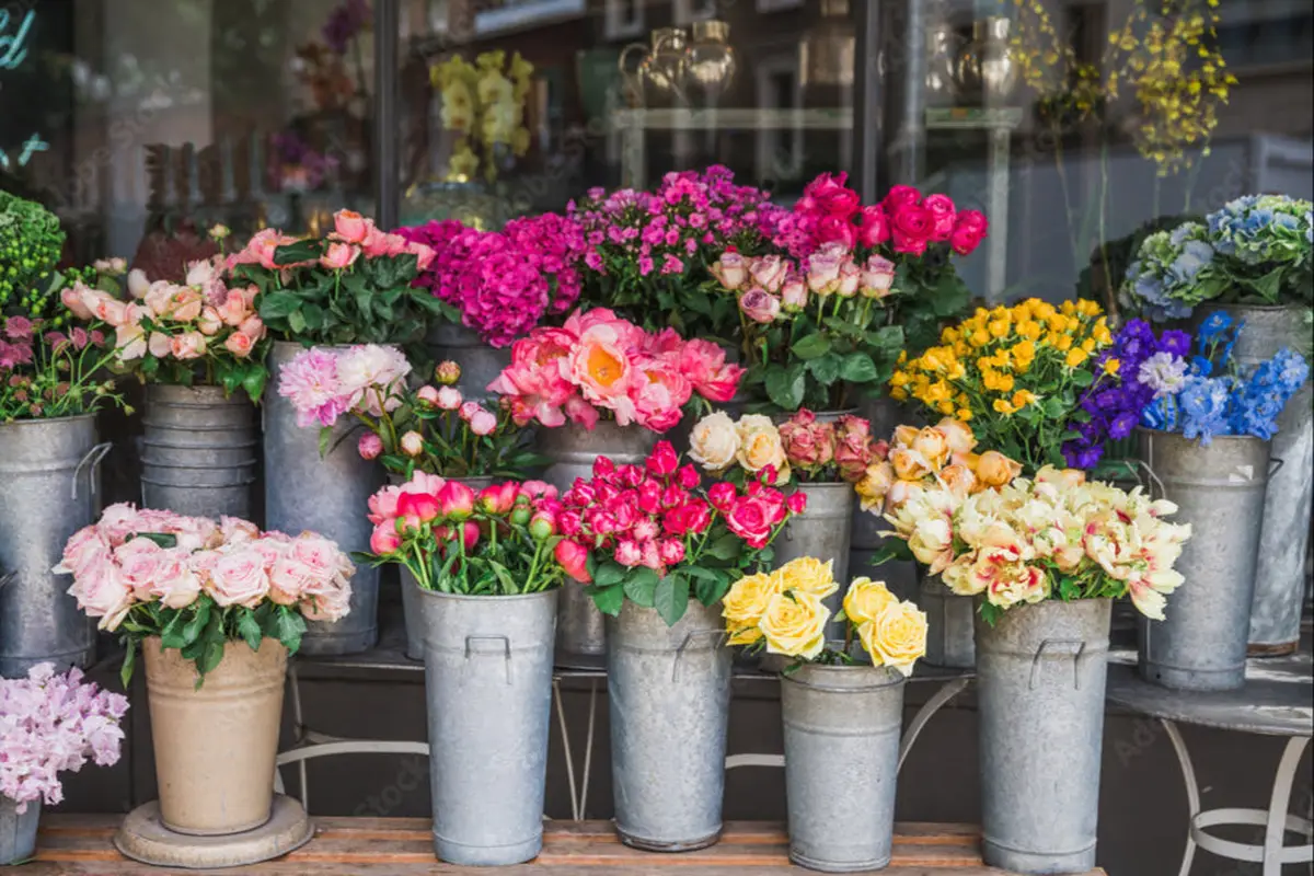 The Floristry - cover photo