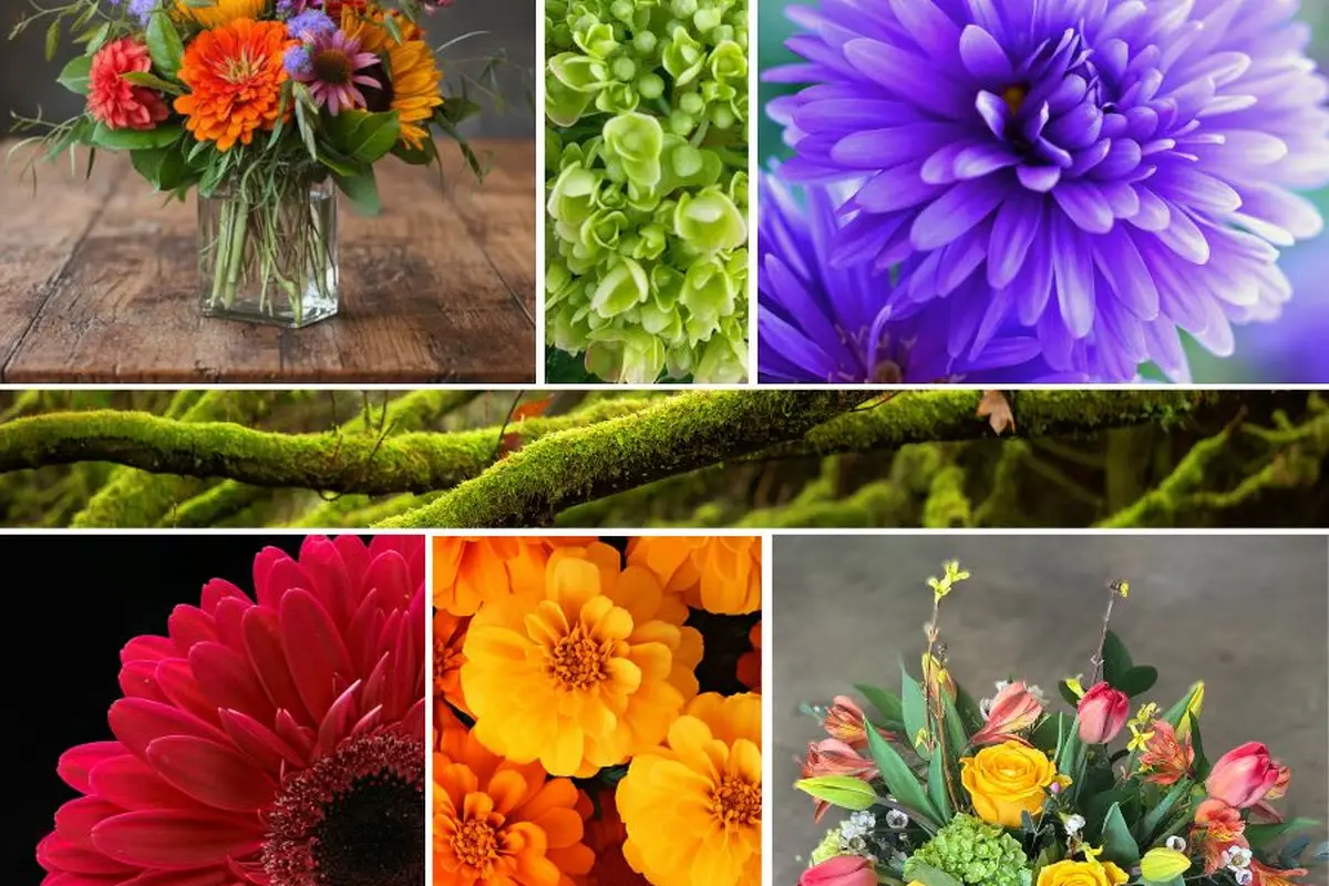 Main Street Floral Company - cover photo