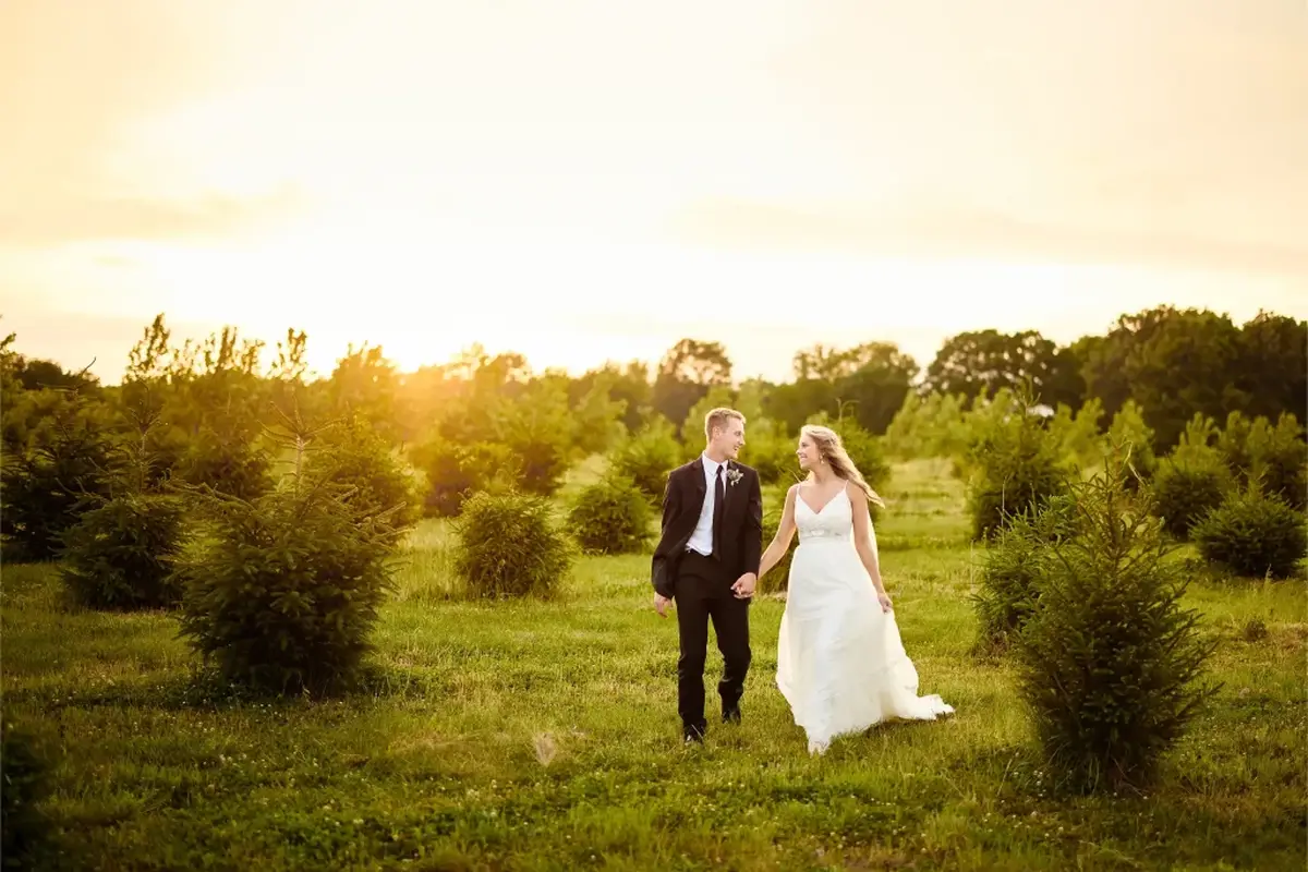 Brooktree Studios: Wedding Photography - cover photo