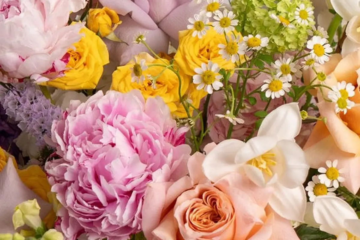 Floral No5 - cover photo