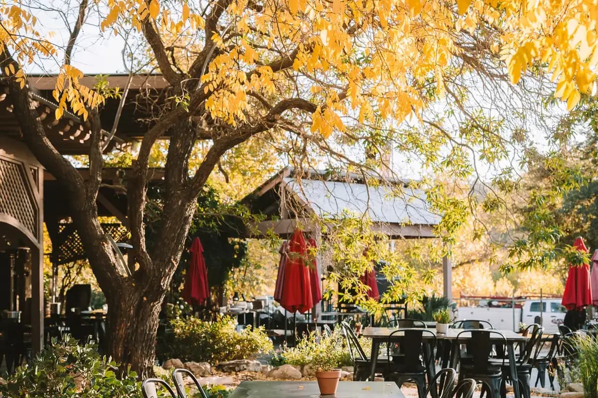 Cass Winery - cover photo