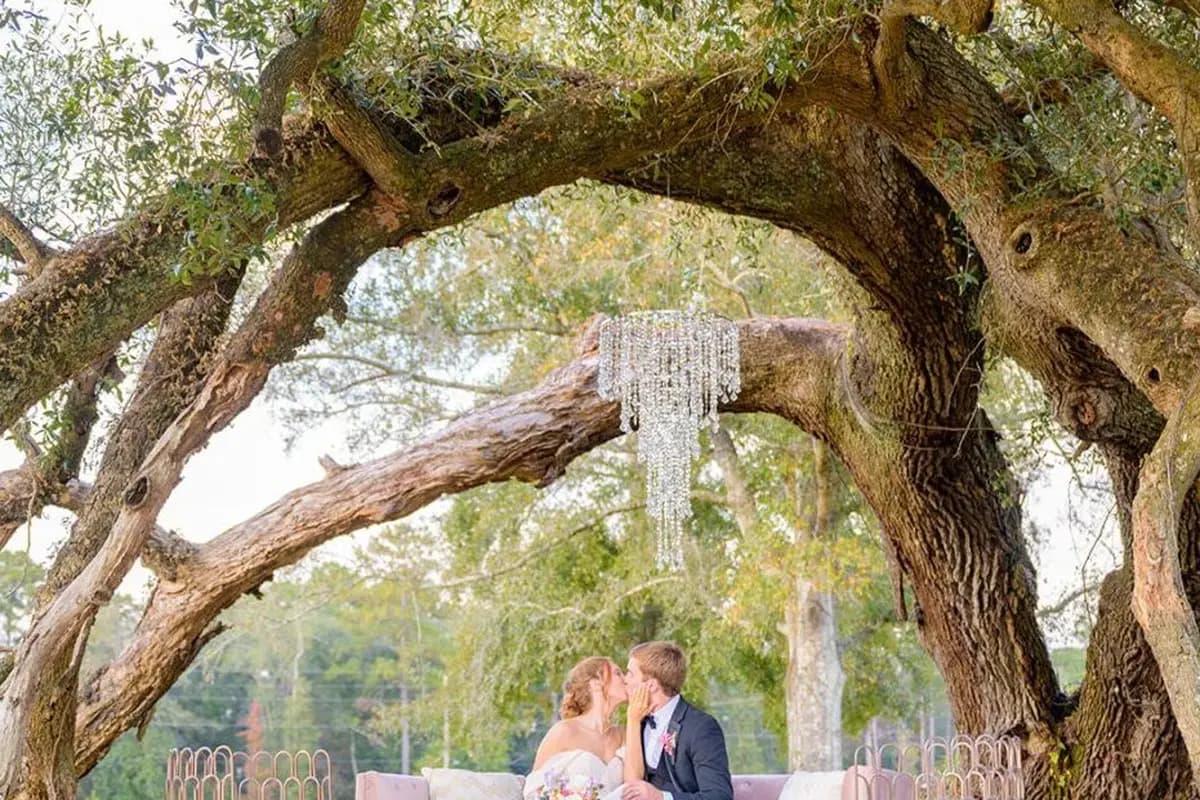The Majestic Oaks - cover photo