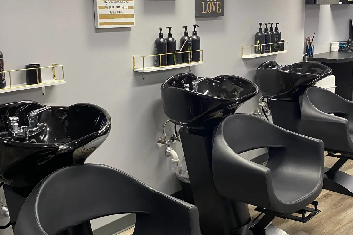 Salon Journey - cover photo
