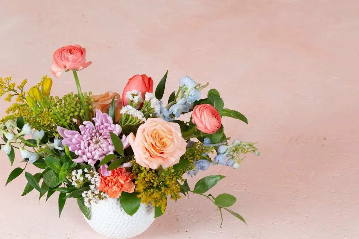 Floranthropist - cover photo