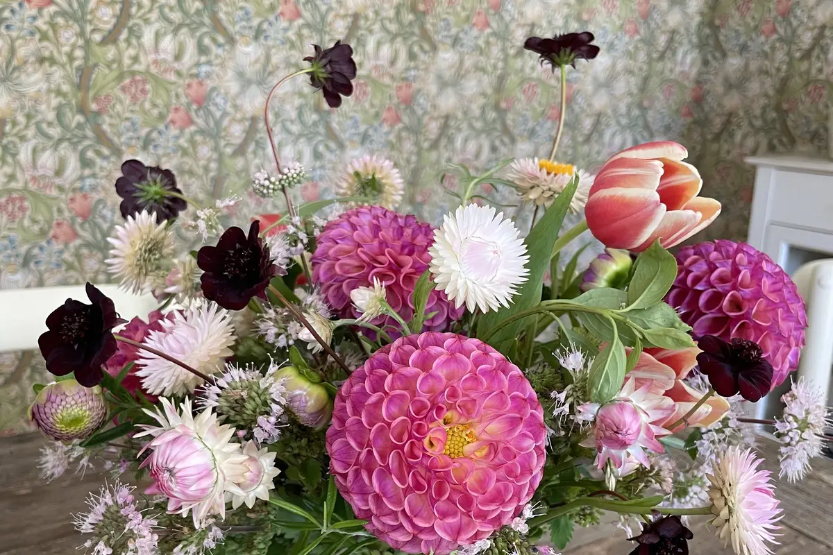 The Flower Lady - cover photo