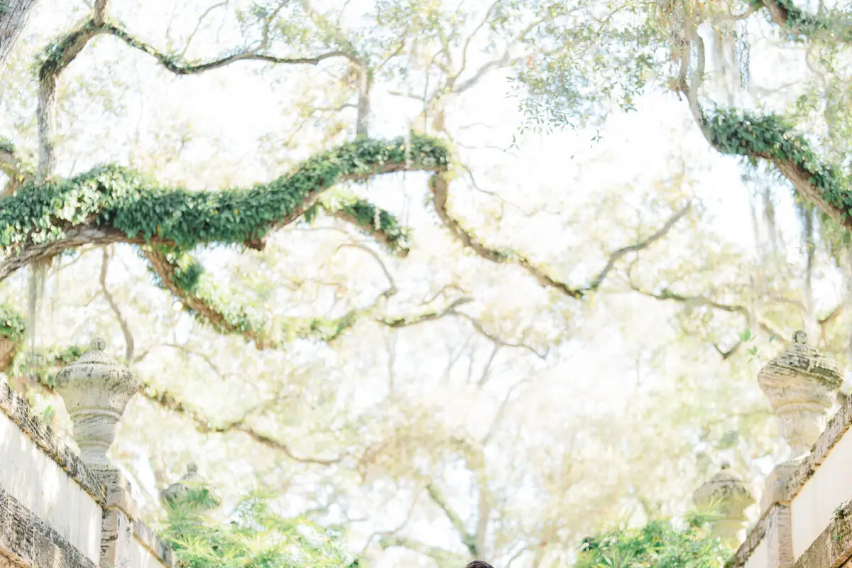 Hedi Field Photography - cover photo