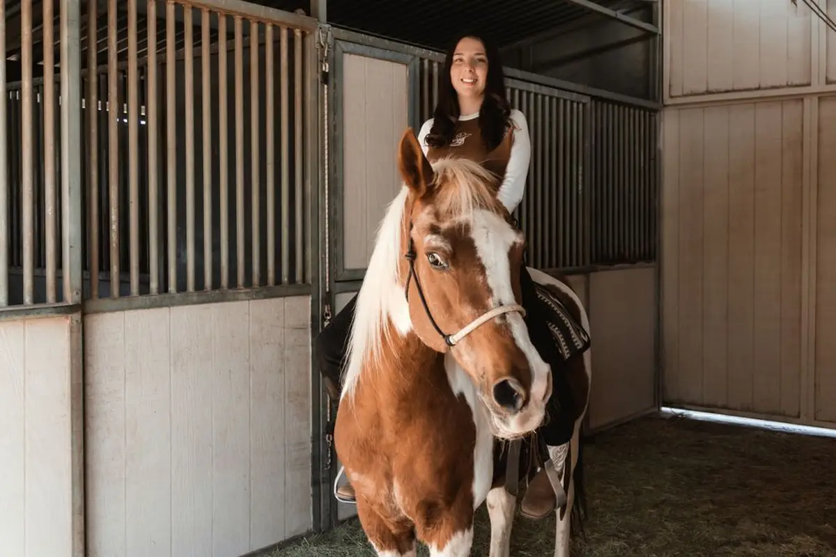 Wild Wind Ranch horseback riding, Pony Parties and more - cover photo