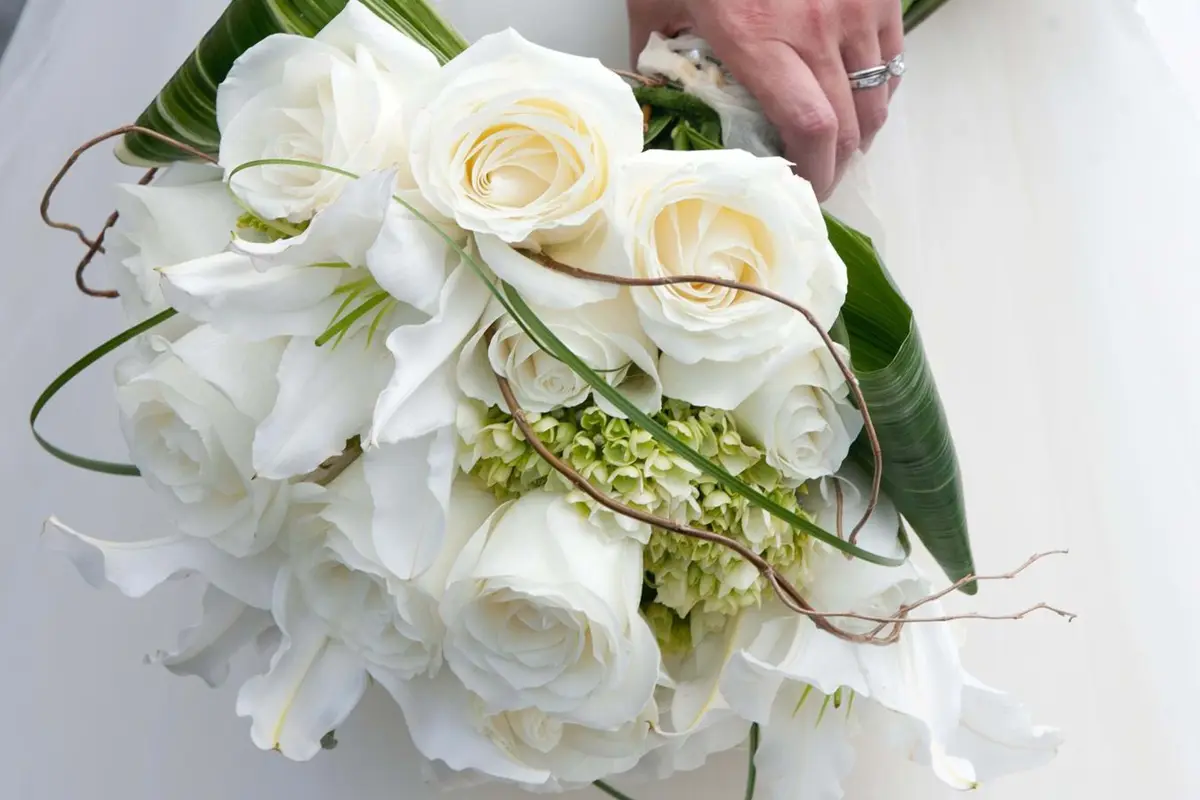 Designing Dreams Floral and Tuxedo - cover photo