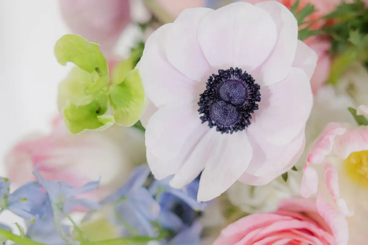 Fresh Flower Bar - cover photo