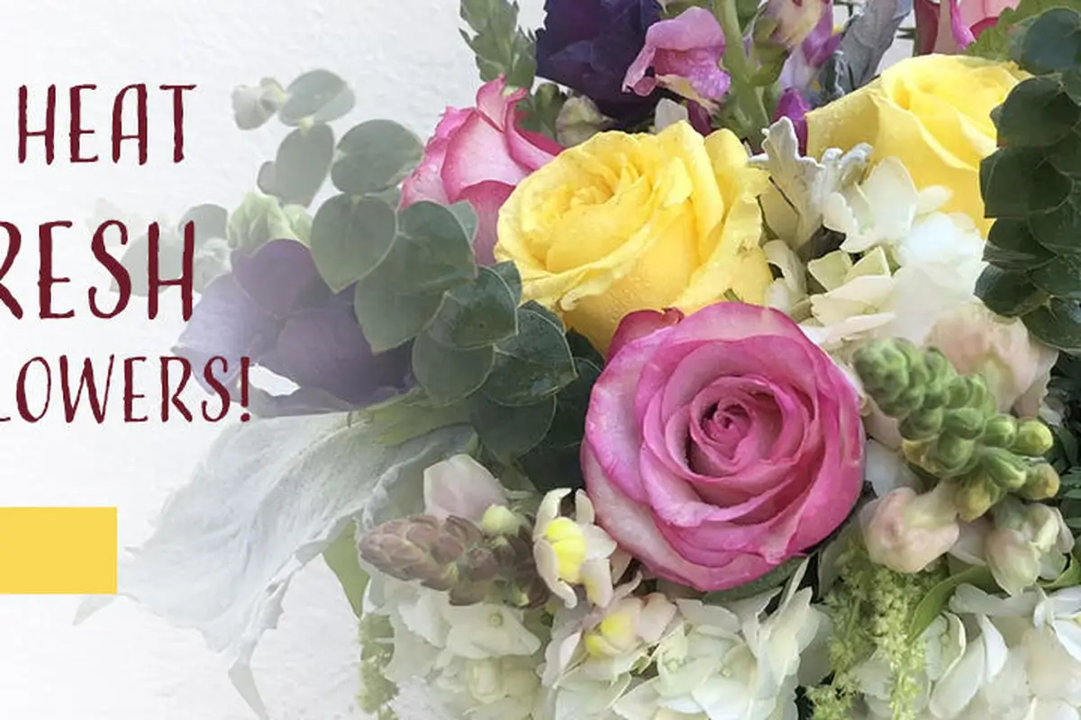 Westwood Flower Shop - cover photo