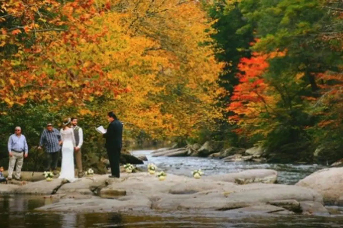 Rev. Heinz Wedding Officiant - cover photo