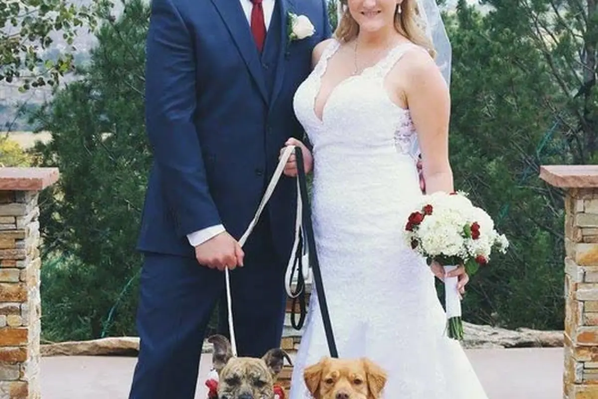 Tie the Knot Bridal Creations - cover photo