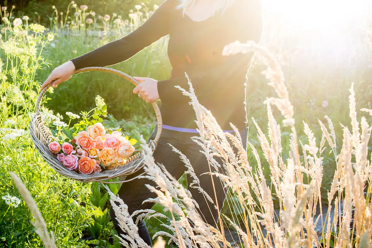 Full Bloom Flower Farm and Floral Design - cover photo