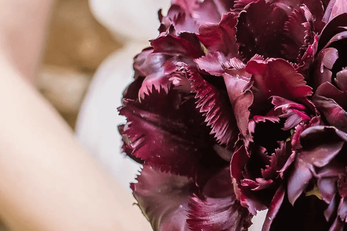 Timber Creek Ballroom - cover photo