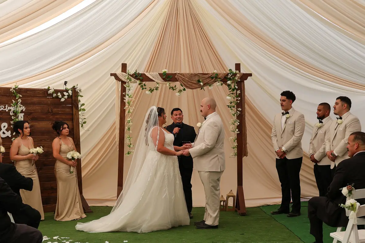 The AV Wedding Officiant - cover photo